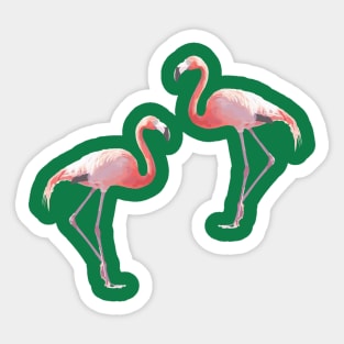Flamingo #3 Sticker
